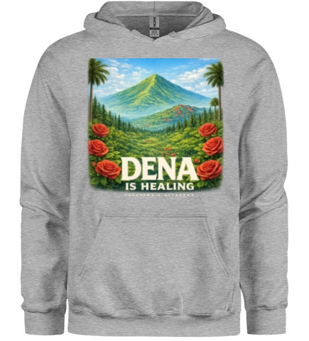 Deal Is Healing Graphic Hoodie