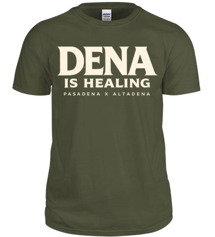 Dena Is Healing T shirt