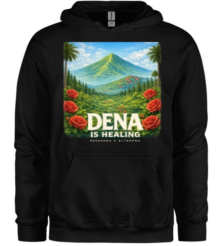Deal Is Healing Graphic Hoodie