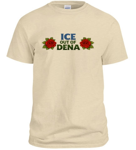 Ice out of Dena